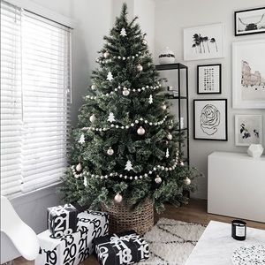 Meet your Posher, Adison